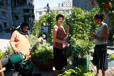 Agricultrices urbaines